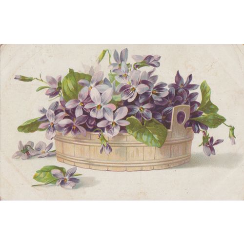 GB 1904 Basket of flowers card with nice stamp see other listings