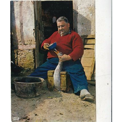 Gascogne Le gavage des oles France Postcard used 1972 corner crease