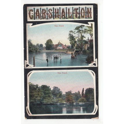 The Pond Carshalton Postcard 1905 Surrey