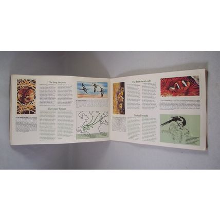 Brooke Bond Tea Card Album: 1976 Wonders of Wildlife, With All Cards