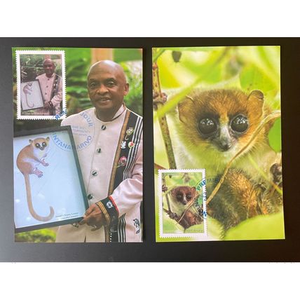 Madagascar 2021 Mi. 2722 - 2723 Lemuriens Microcebus Jonahi 2 Maxi Carte FDC
