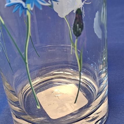 NEW 4 Royal Norfolk BUTTERFLY GLASSES Blue Flowers Tumblers Drink 16 oz
