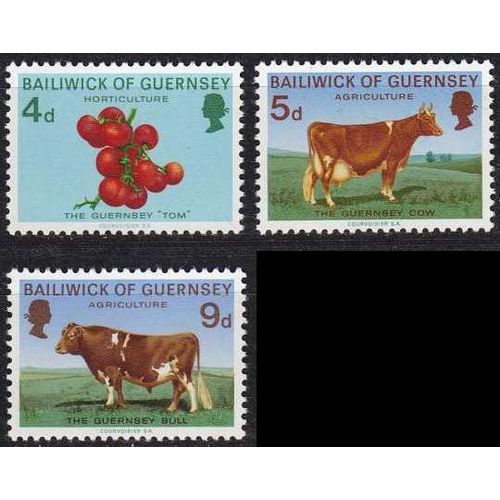 ENGLAND GREAT BRITAIN [Guernsey] MiNr 0031 ex ( **/mnh ) [01]