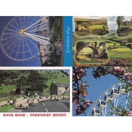 The Yorkshire Eye Wheel Magic Of The Moors Rush Hour Sheep 4x Superb Postcard s