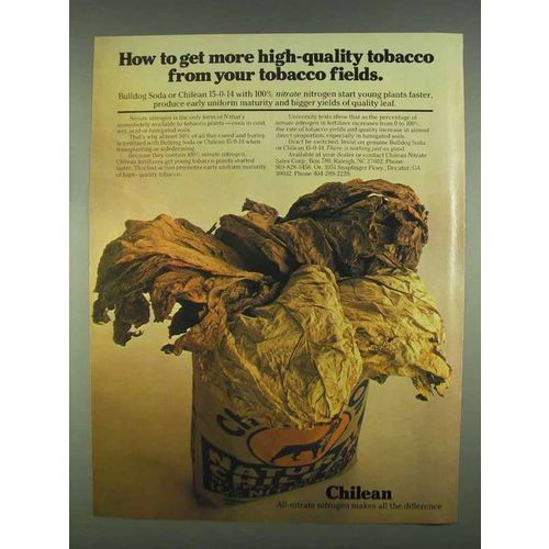 1978 Chilean 15-0-14 and Bulldog Soda Ad - Tobacco