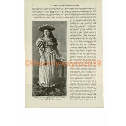 New Season Liberty Dress (1) Victorian Fashion, Book Illustration (Print), c1893