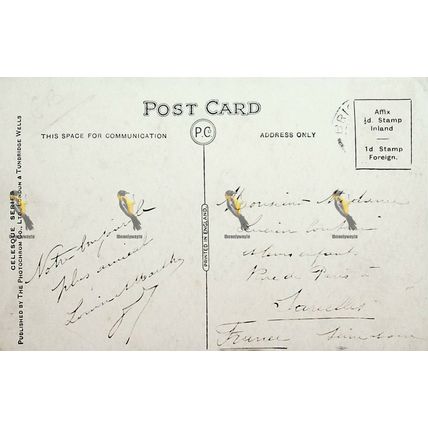 Brighton, The Palace Pier, Sussex, C45141, Photochrom Celesque Postcard, 1912