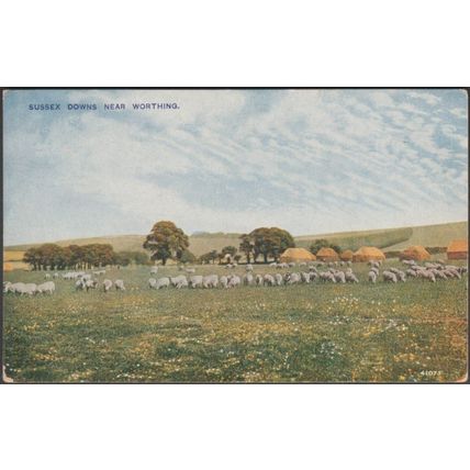 Sussex Downs, near Worthing, c.1920s - Photochrom Postcard