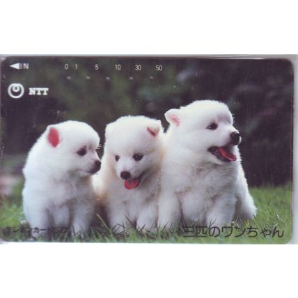 Puppies V7 Japan NTT Phone Card
