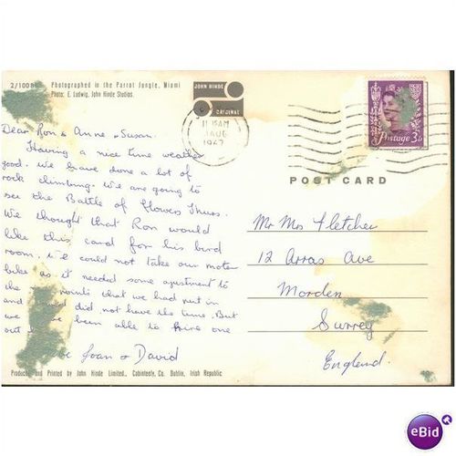 Vintage John Hinde Postcard 1967 - Parrot Jungle, Miami - Jersey issue