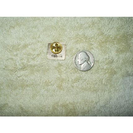 vtg city of aurora colorado volunteer pin