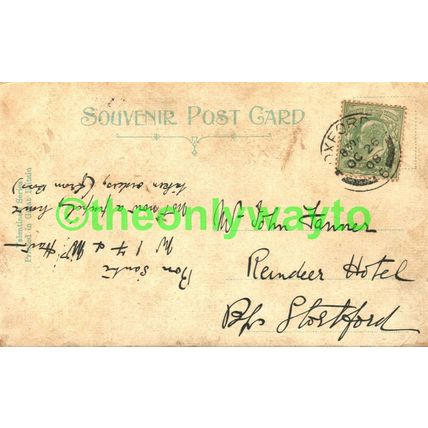 Lime Walk, Trinity College, Oxford, Rare Valentine Postcard 1908