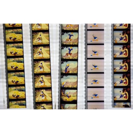 Donald Duck. Pk MULTI AKF - A006f . - 5 STRIPS OF 5 - 35MM FILM CELLS
