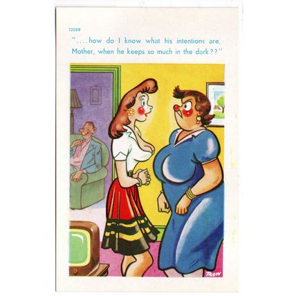 SEASIDE COMIC POSTCARD BY TROW NUMBER 12088 PUBLISHED BY BROOK PUBLISHING (4323)