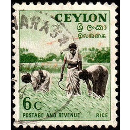 Ceylon 1951 Rice 6c Used Stamp