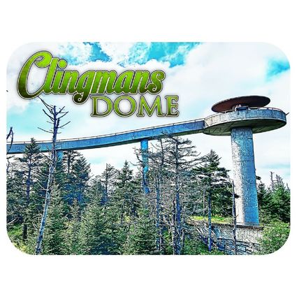 Clingmans Dome Great Smoky Mountains Tennessee Fridge Magnet