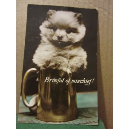 BRIMFUL OF MISCHIEF! KITTEN used vintage postcard 1935 pm