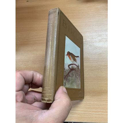 c1940s "BIRDS" M K C SCOTT ILLUSTRATED SMALL HARDBACK BOOK (P3)