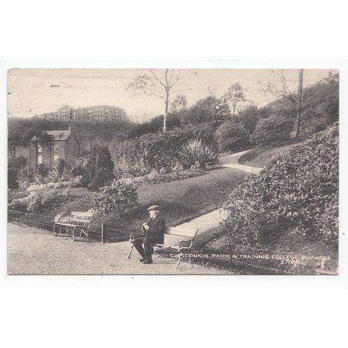 Cwmdonkin Park and Training College Swansea Postcard