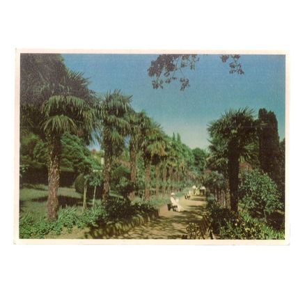HEALTH RESORT, CRIMEA unused vintage postcard (A)