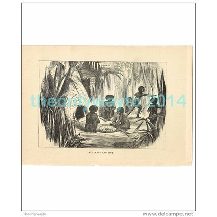 ANDAMANS AND HUT, INDIA, Book Illustration, c1883
