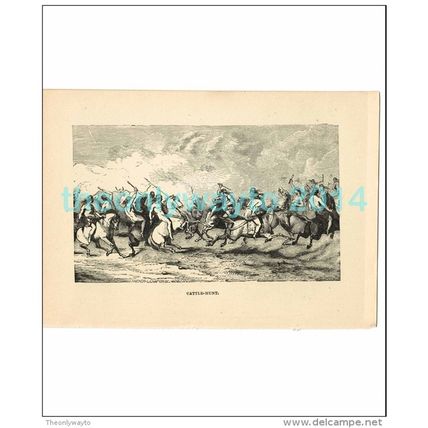 CATTLE HUNT, ARGENTINA, Book Illustration, c1883