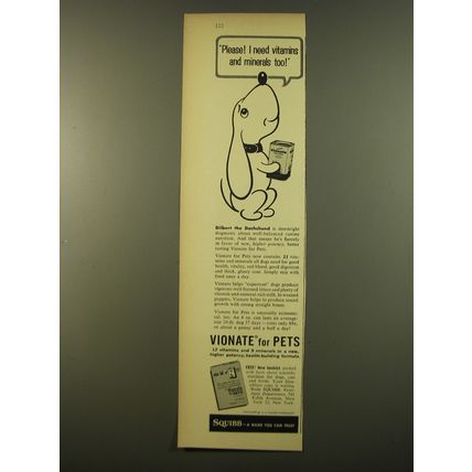 1961 Squibb Vionate Ad - Please! I need vitamins and minerals too!