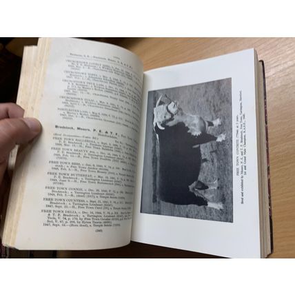 RARE* 1949 "THE HERD BOOK OF HEREFORD CATTLE" BULLS & COWS VOL 79 BOOK (P7)