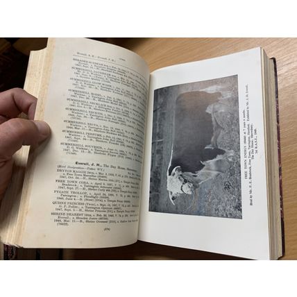 RARE* 1949 "THE HERD BOOK OF HEREFORD CATTLE" BULLS & COWS VOL 79 BOOK (P7)