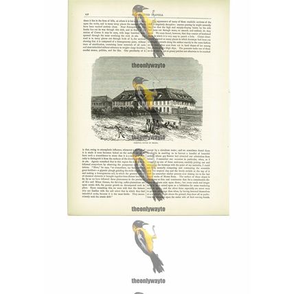 Fazenda House, Brazil, Book Illustration (Print), c1880