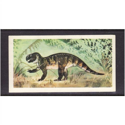 Brook Bond Prehistoric Animals Psittacosaurus No 24 Mint