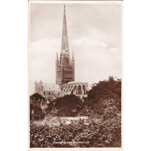 Norwich Cathederal Norfolk Postcard (NFK71878)