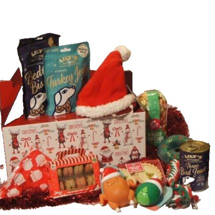 ULTIMATE DOG CHRISTMAS TREAT & TOY HAMPER XMAS GIFT BOX FILLED WITH FESTIVE FUN
