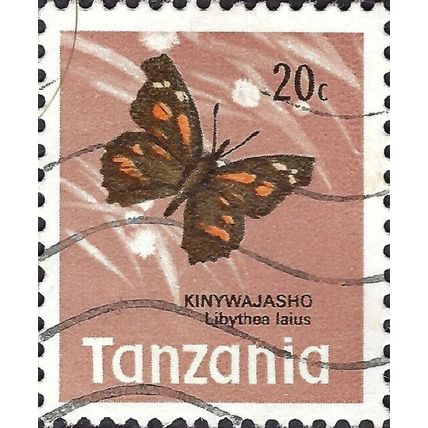 TANZANIA, BUTTERFLY, African Snout Butterfly, pink-brown 1973, 20c