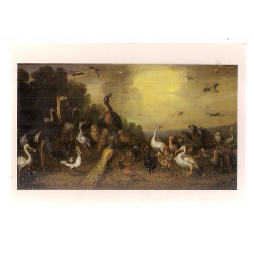 AN ASSEMBLY OF BIRDS. painting by Jan Van Kessel.. unused vintage postcard 1986