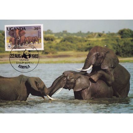 Elephant Ugandan Washing Swimming WWF Stamp First Day Cover Postcard