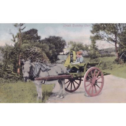 Irish Donkey Cart Antique Ireland Postcard