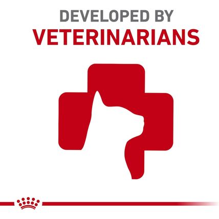 Royal Canin Adult Feline Health Nutrition Instinctive Thin Slices in Gravy Canne