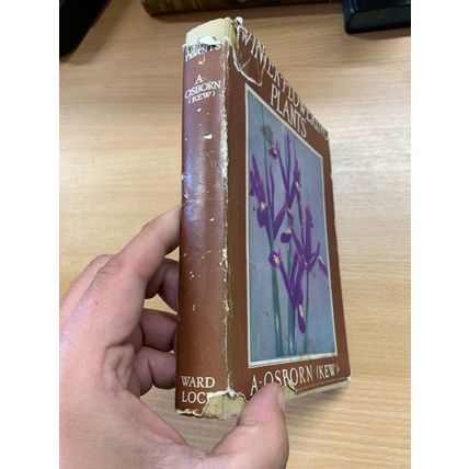 c1950 WINTER FLOWERING PLANTS FOR OUTDOOR BORDERS ILLUSTRATED HARDBACK BOOK (P3)