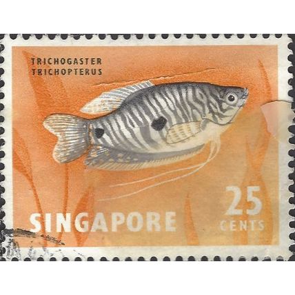 SINGAPORE, FISH, Three-spotted Gourami, orange 1968, 3f