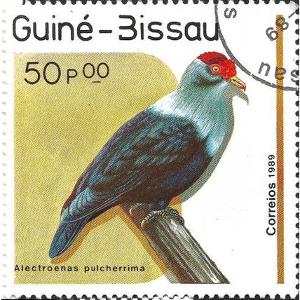 GUINEA BISSAU, BIRD, Blue Pigeon, Alectroenas pulcherrima, yellow 1989, 50peso