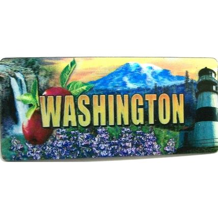 Washington Panoramic 3D Fridge Magnet