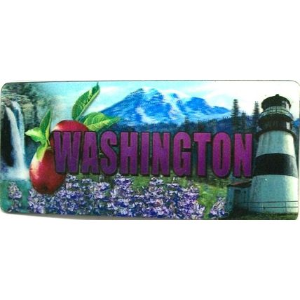 Washington Panoramic 3D Fridge Magnet