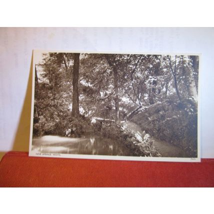 NINE SPRINGS, YEOVIL, Somerset. unused vintage postcard 1950s =