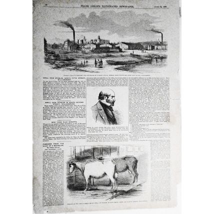 Swill Cow Stables, North Fifth Street Williamsburg - Frank Leslie's June 19,1858