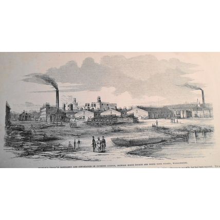Swill Cow Stables, North Fifth Street Williamsburg - Frank Leslie's June 19,1858