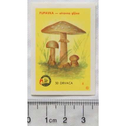 vintage Yugoslavia Matchbox Label - Toadstool, Pupavka