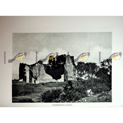 St Donat's Castle Inner Court & Oystermouth Castle, Book Illustration 1926