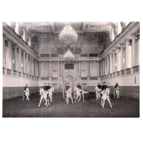 WIEN, VIENNA, SPANISH RIDING SCHOOL unused postcard white horses RP 1966 =