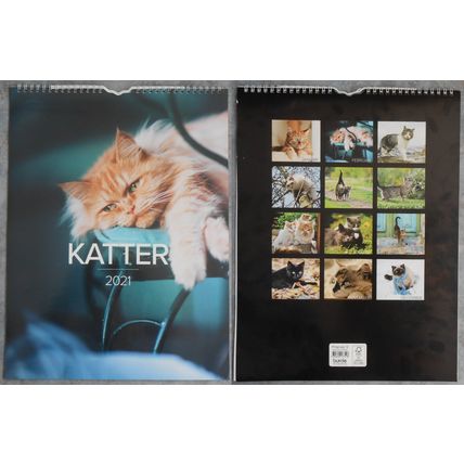 Kalender: Katter 2021